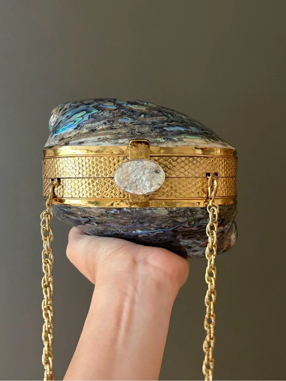 Gold Abalone Shell Minaudière Shoulder Bag
